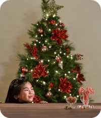 Christmas Trees